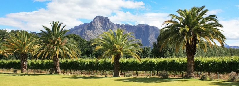 Reisen nach Südafrika Reisen nach Südafrika