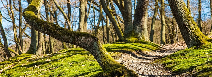 Frühlingserwachen - der Start in die neue Reisesaison Frühlingszeit ist Reisezeit